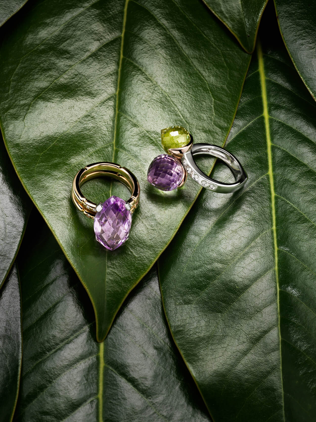 jungle-collection-gold-jewelry-hasselblad-x1d_crop